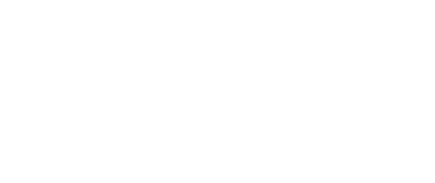 logo-image