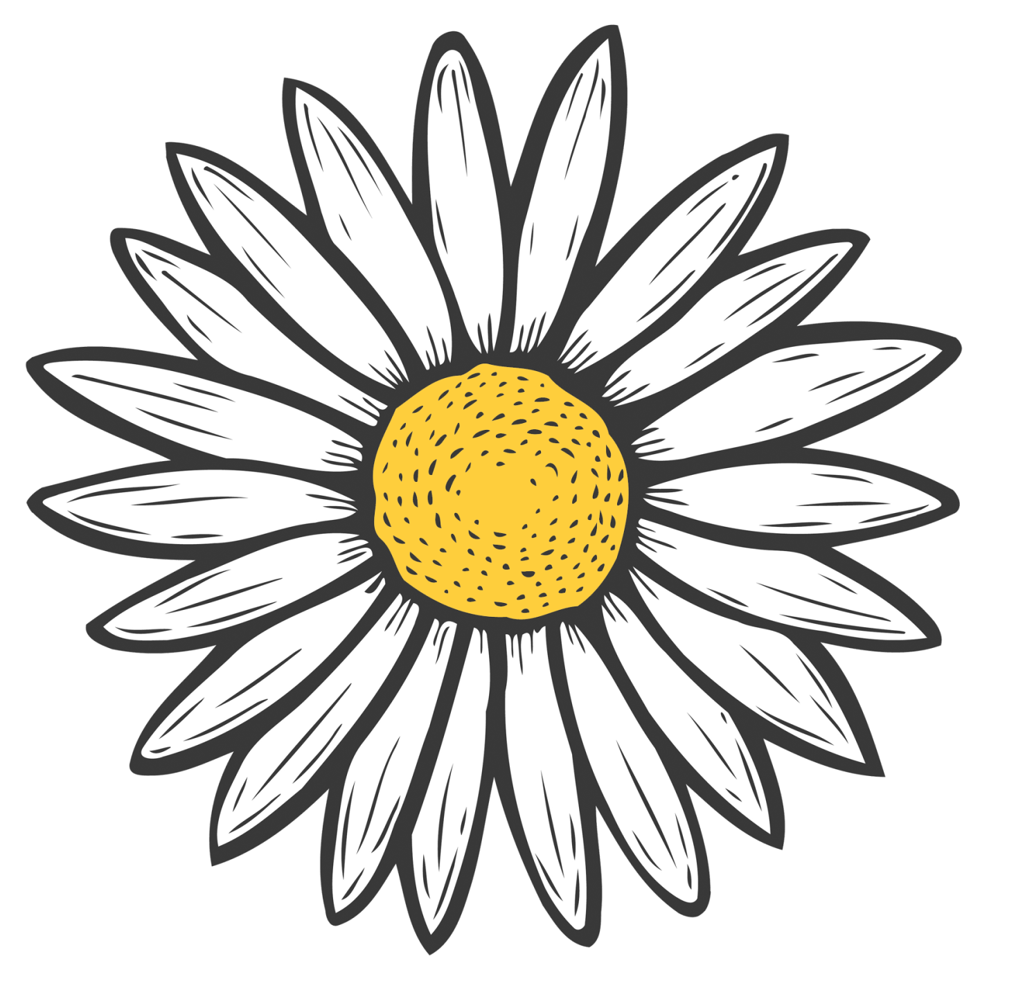 A black and white drawing of a daisy with a yellow center.