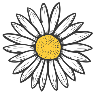 A black and white drawing of a daisy with a yellow center.