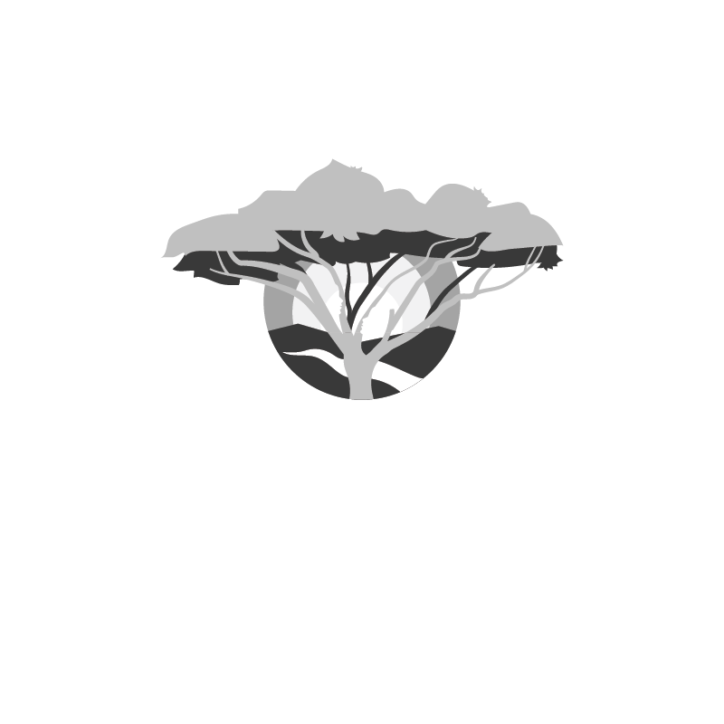 Logo: Rooted Feat. Silhouette of a tree with a large canopy and a sunset behind it.