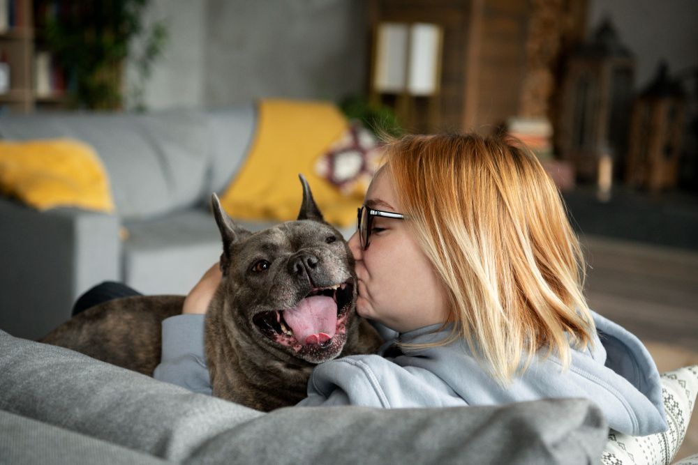 reformas-casa-para-animales