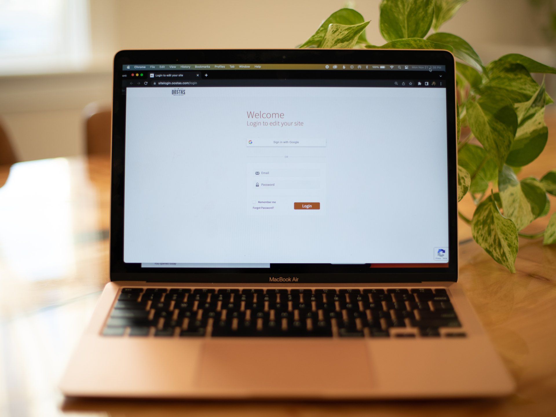 A laptop computer is sitting on a wooden table next to a plant.