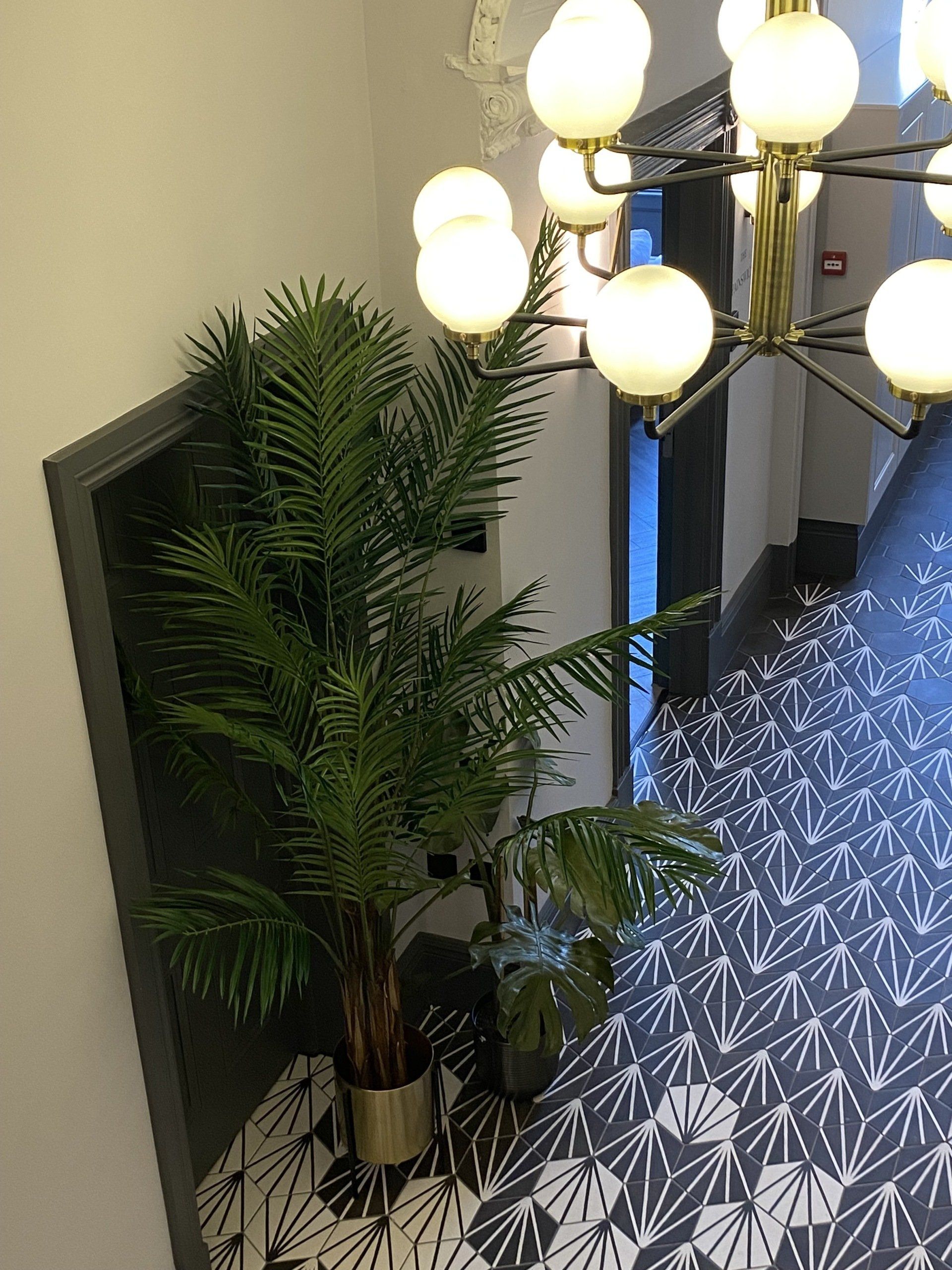 A palm tree in a pot is sitting next to a chandelier in a room.