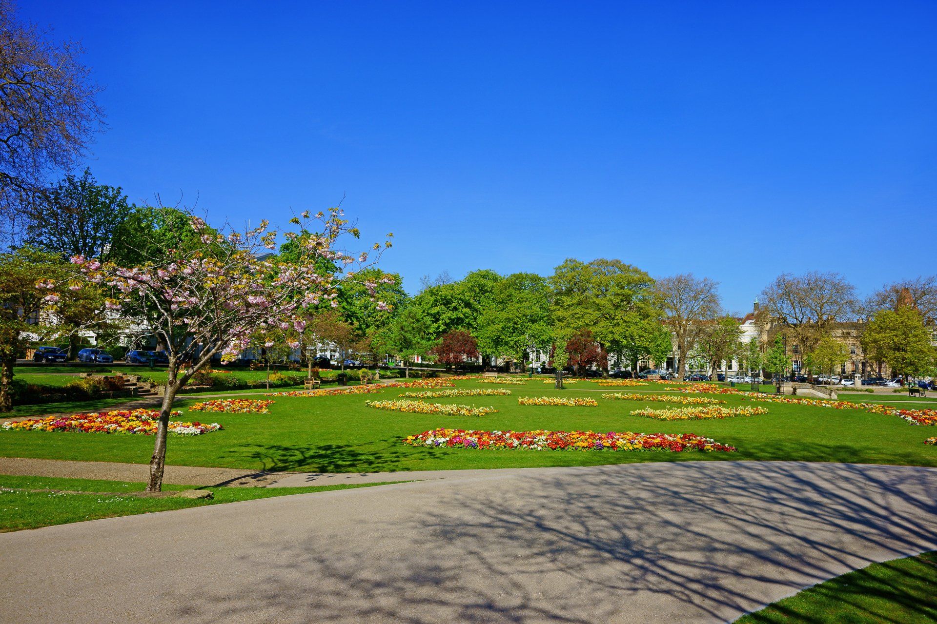 A park with lots of flowers and trees on a sunny day