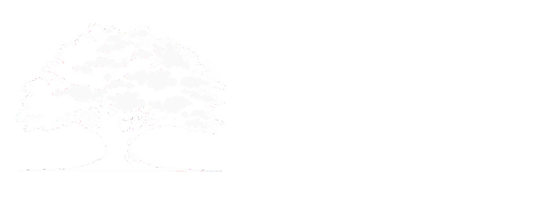 logo-image
