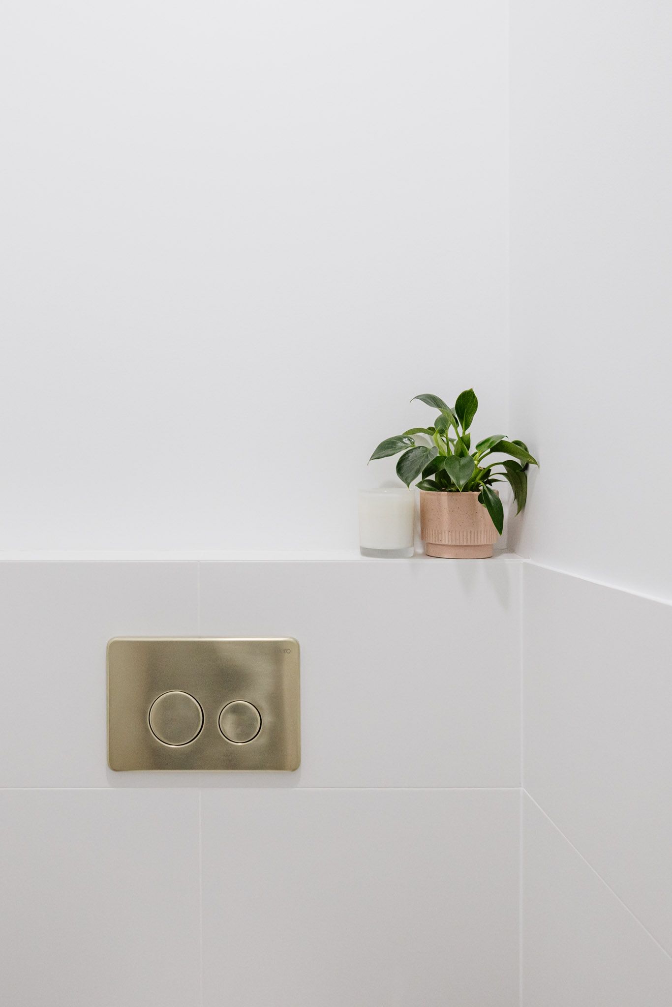 Gold toilet flush button and small potted plant in a white corner.
