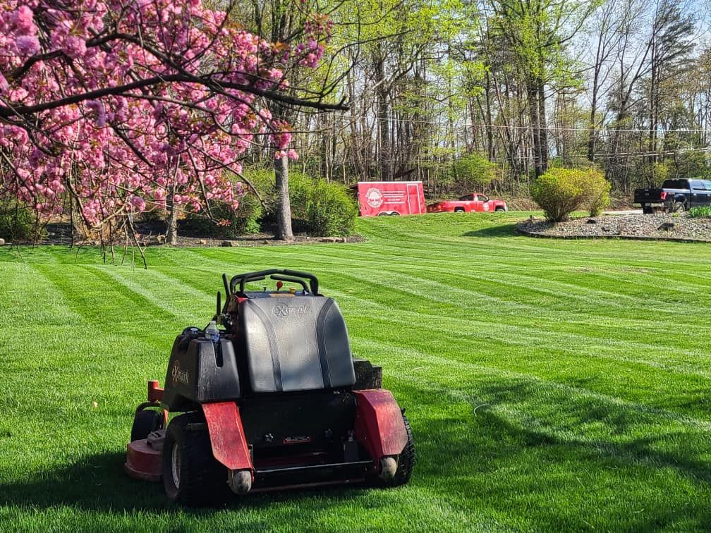 A family posing for a picture in front of a christmas tree