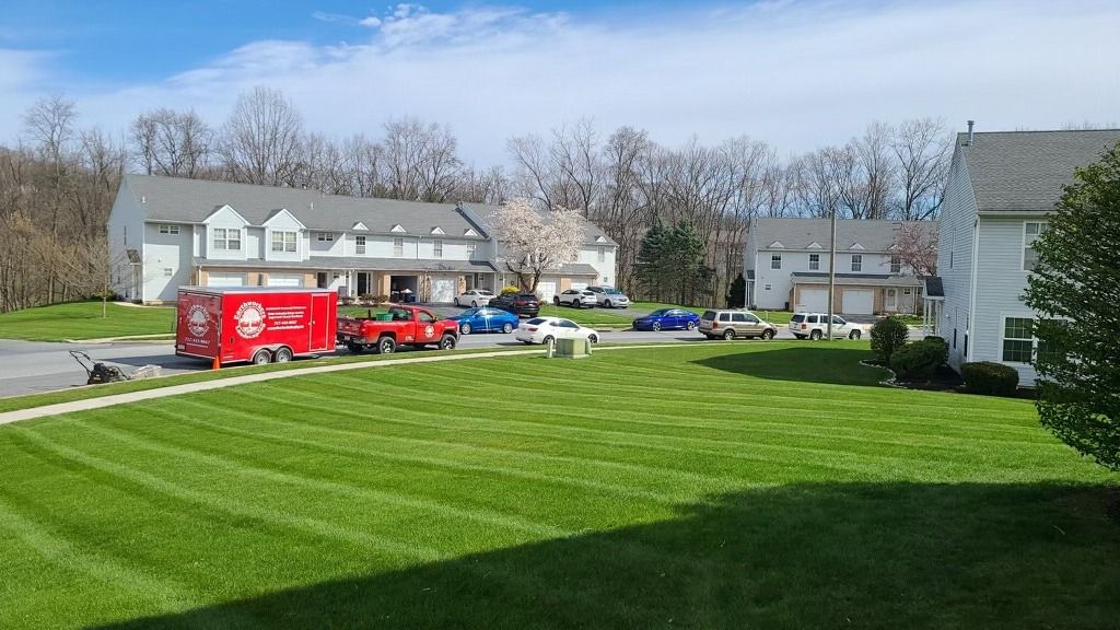 A lush green lawn in front of a row of houses
