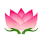 Pink lotus flower with green leaves.