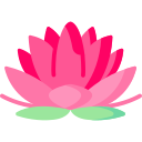 Pink lotus flower with green leaves.