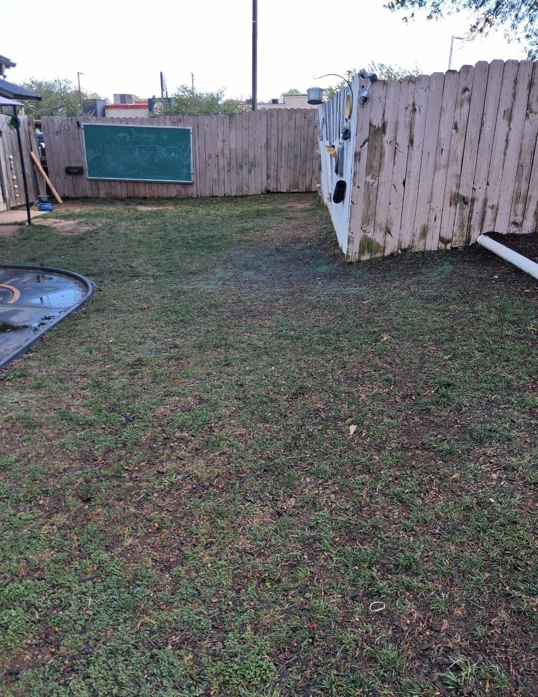 Backyard with patchy grass, a fence, and a blue-green sign on the left.
