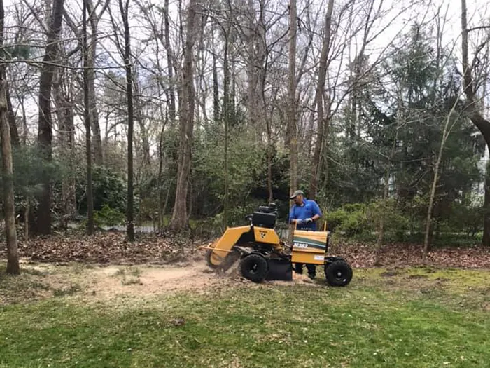 a man is using a stump grinder to remove a tree stump in a yard .