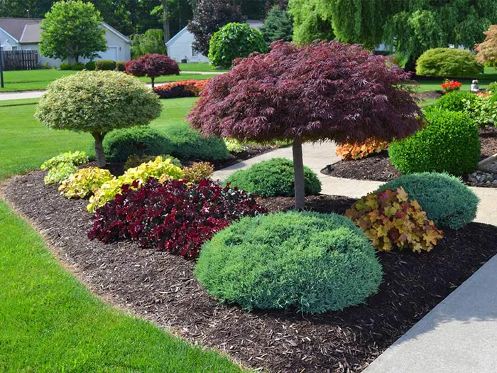 Well-manicured landscaping with various green, burgundy, and yellow plants and shrubs, mulched beds