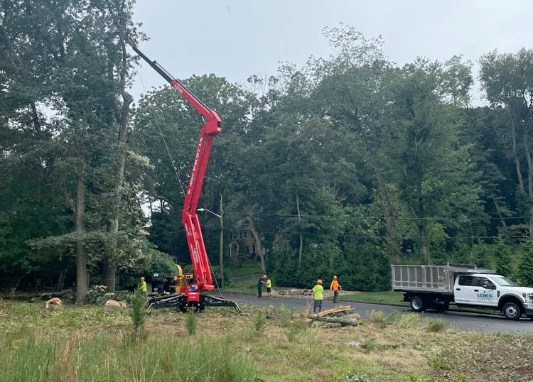 a crane is cutting a tree in the middle of a field .
