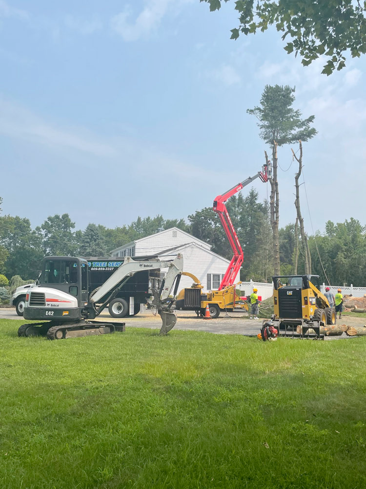 A large tree is being cut down by a machine in a park.
