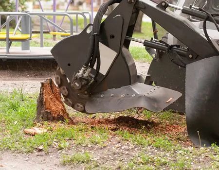 A stump grinder machine removes a tree stump near a playground.