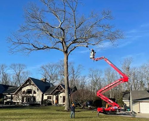 A man is standing in front of a house while a crane is cutting a tree.