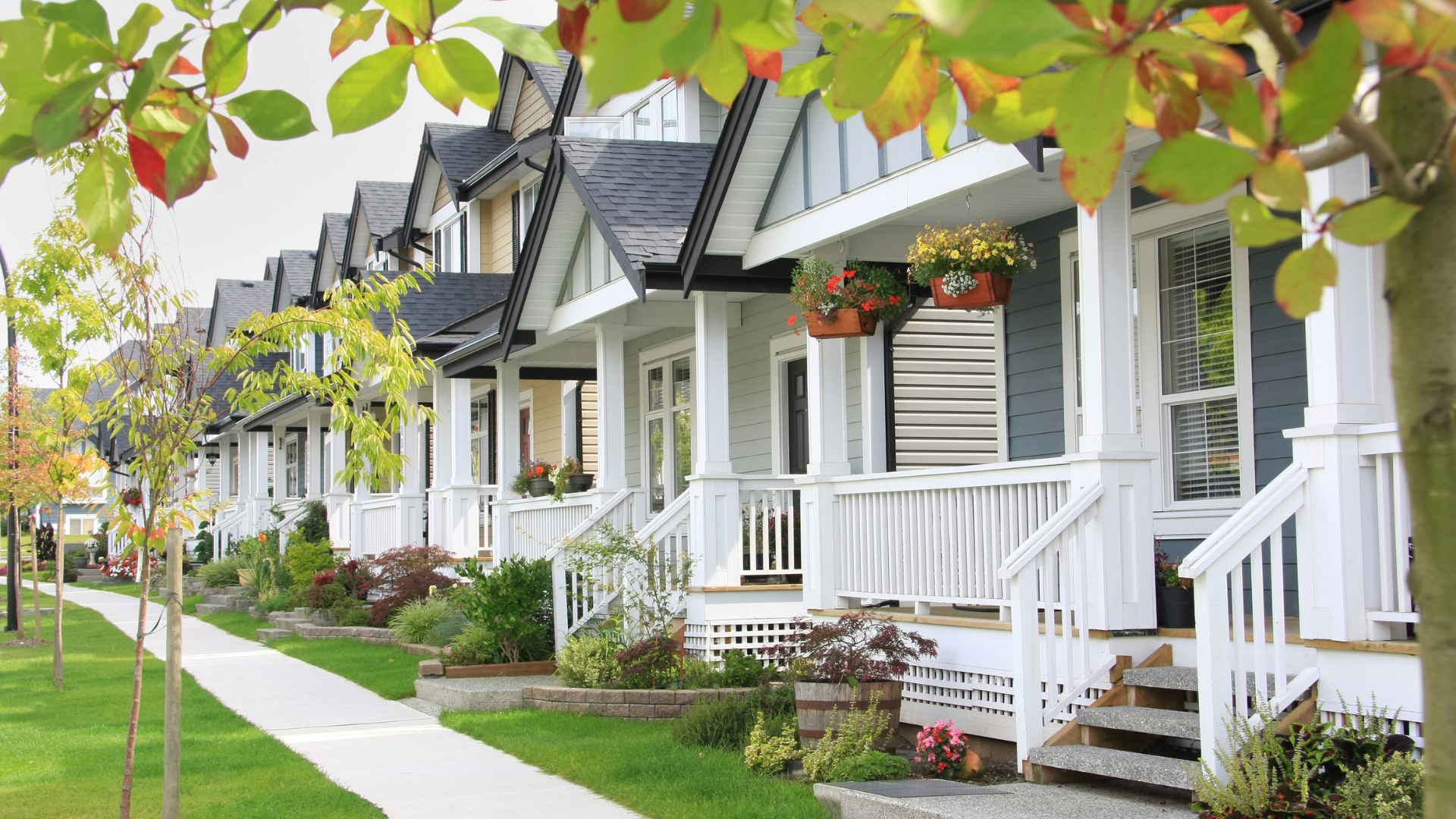 Row of white houses with porches and flower baskets along a tree-lined sidewalk on a sunny street