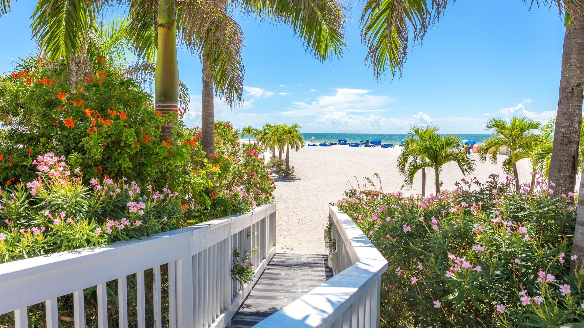 Sunny beach path framed by white railings, pink flowers, and palm trees leading to the ocean
