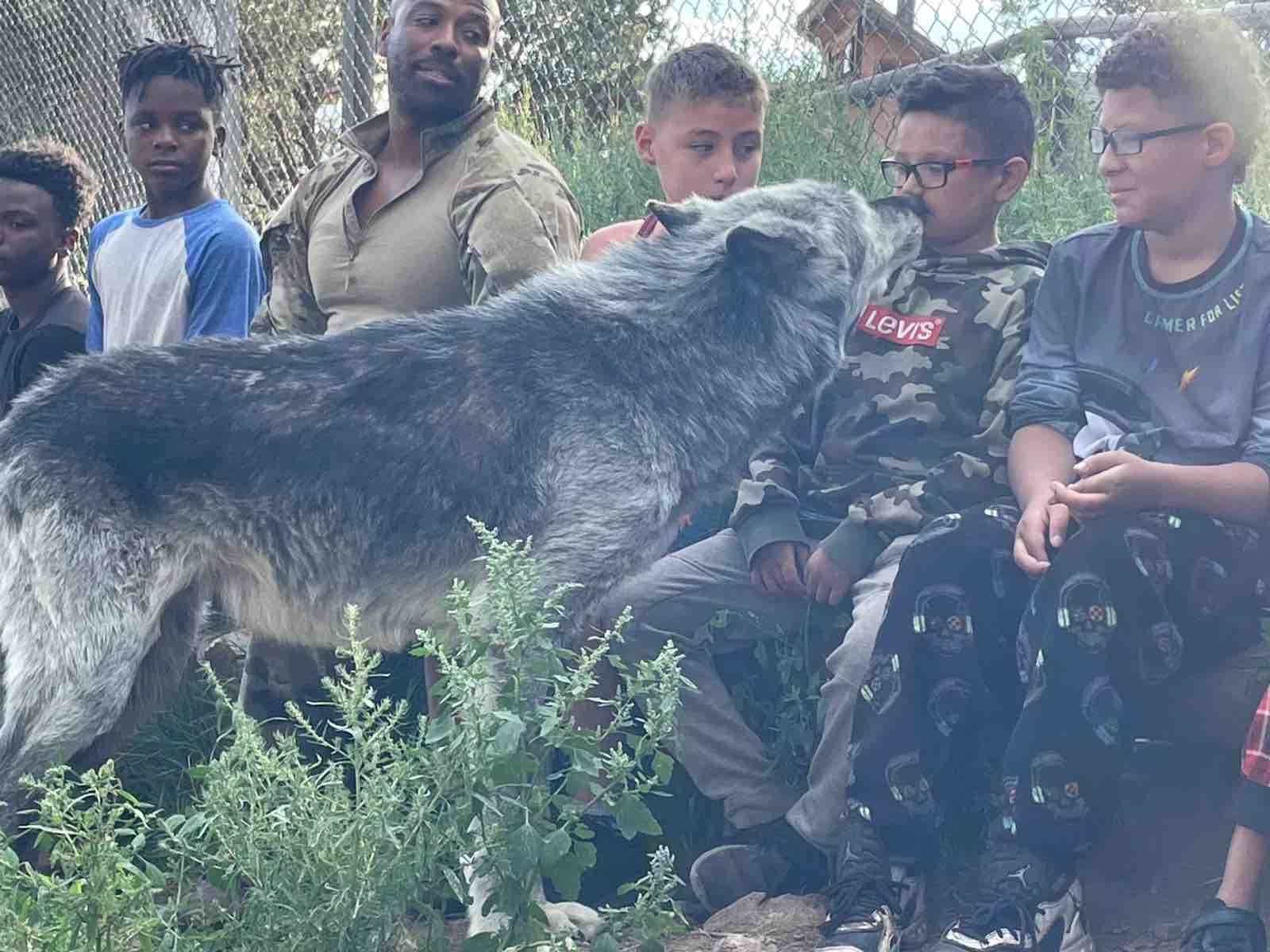 A group of young boys are sitting next to a large dog.