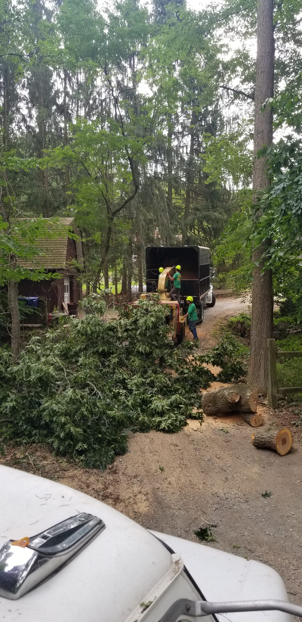 Machine Clearing Land — Newark, DE — La's Quality Tree Service Machine Clearing Land — Newark, DE — La's Quality Tree Service