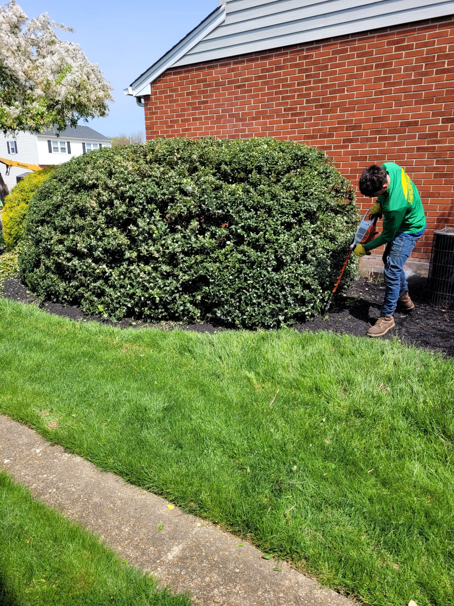 Machine Grinding Stump — Newark, DE — La's Quality Tree Service