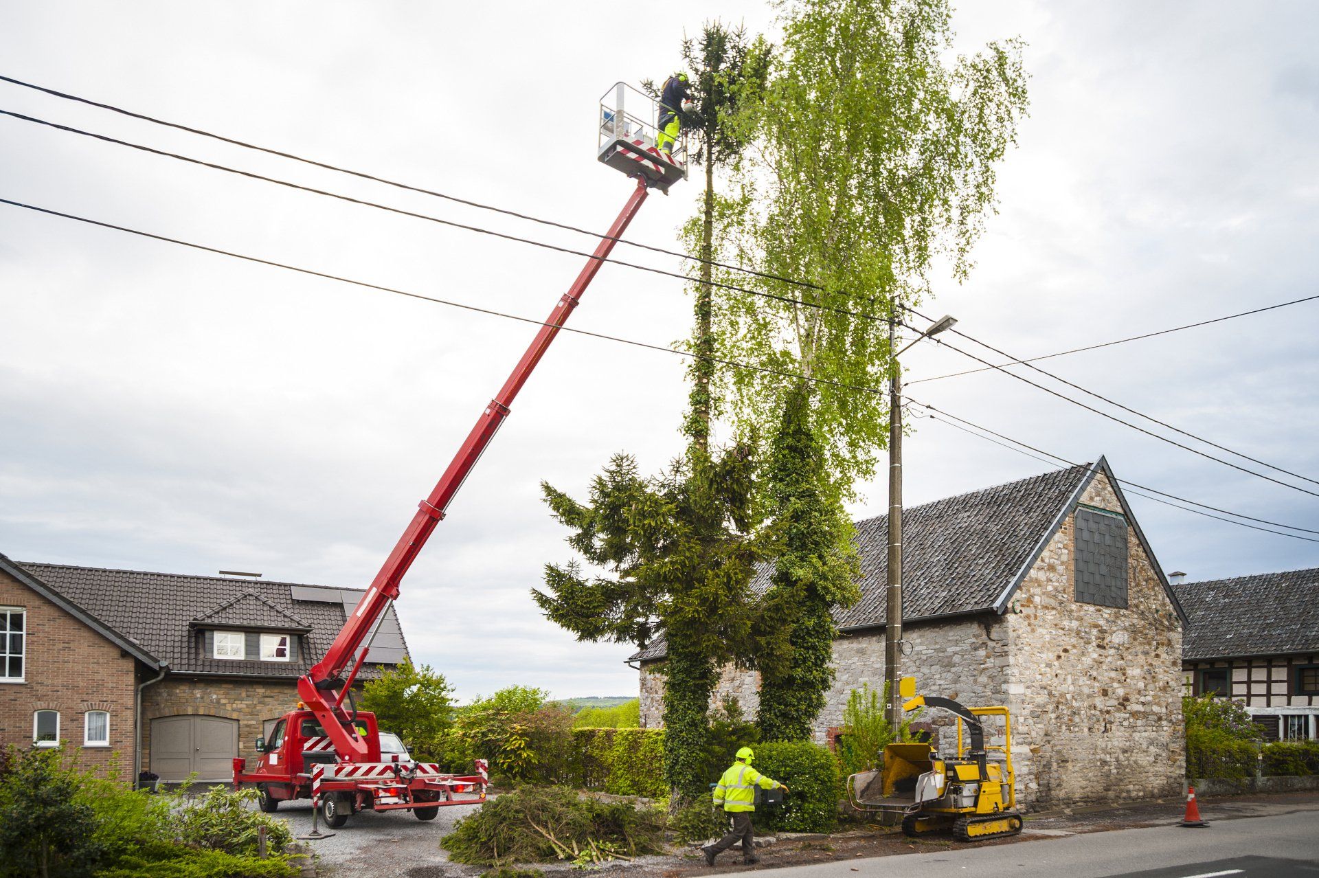 Cutting Trees Using Crane — Newark, DE — La's Quality Tree Service Cutting Trees Using Crane — Newark, DE — La's Quality Tree Service
