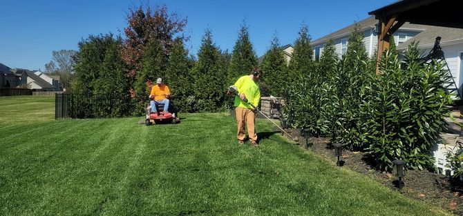 Two landscapers mow a sunny backyard lawn beside a tall hedge and shrubs.