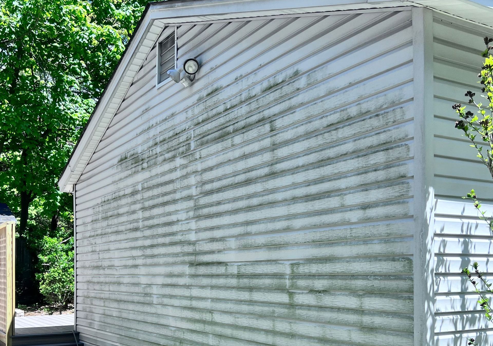 Image showing vinyl siding with mildew growth, highlighting the need for cleaning and maintenance.