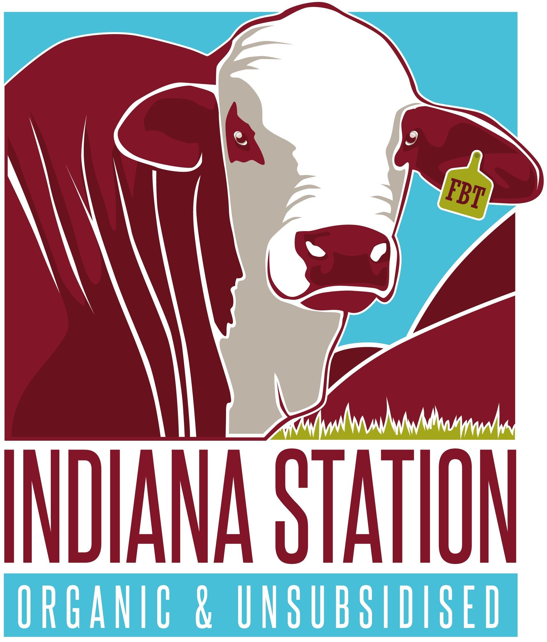 Logo for Indiana Station featuring a red and white cow with a