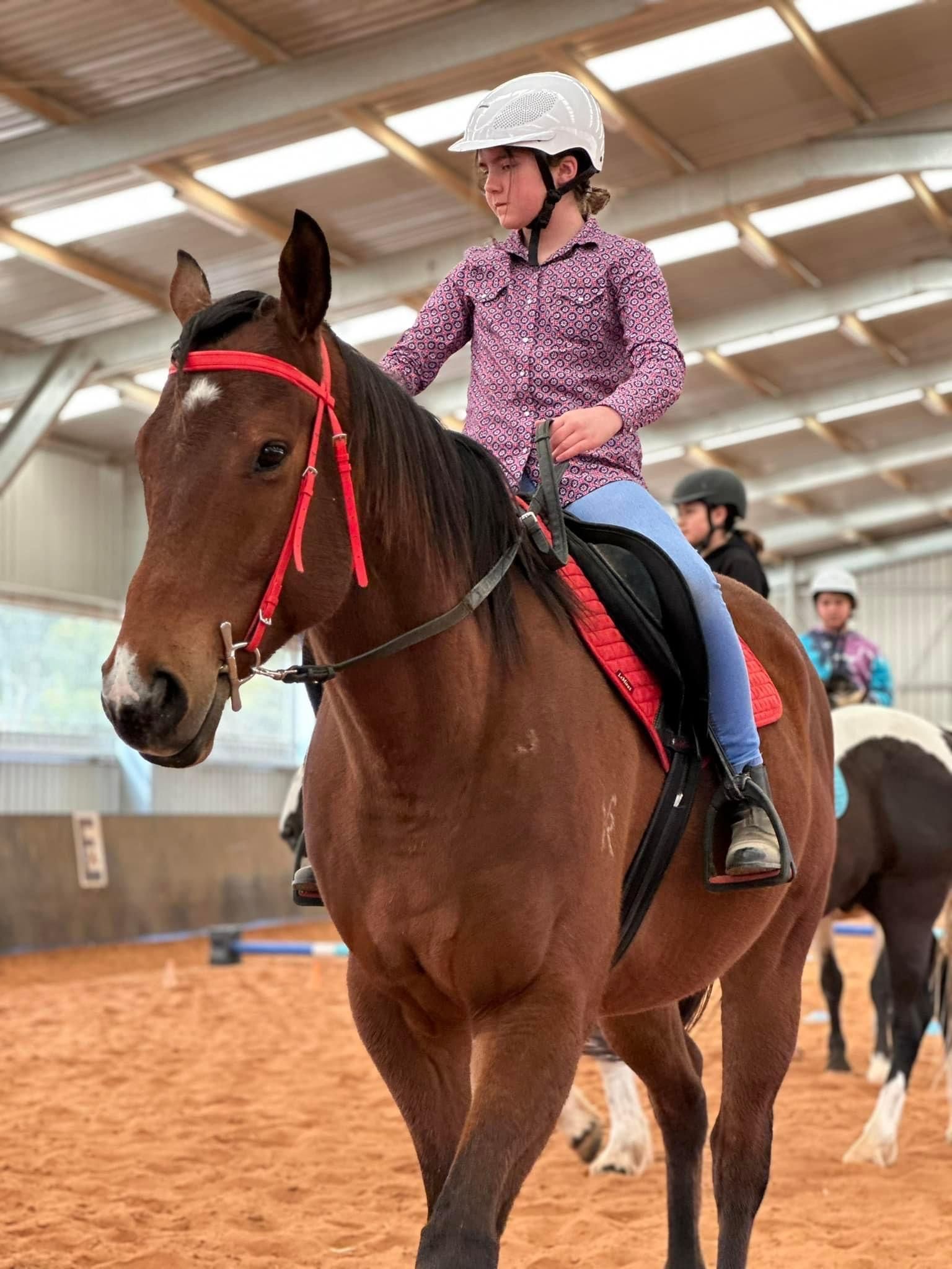 Girl in helmet riding a brown horse 