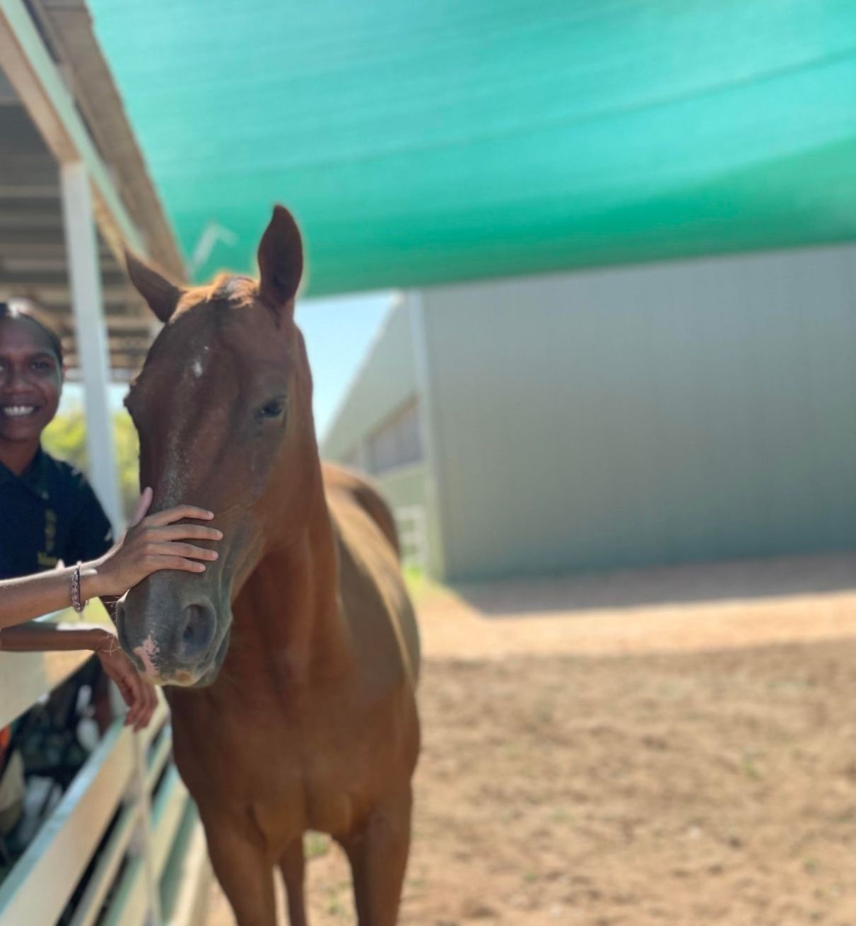 Woman petting a brown horse in an outdoor corral. The horse has a white blaze on its forehead.