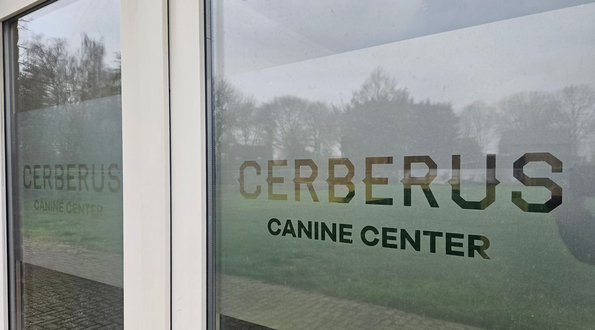 Professioneel hondenpension in Geffen – Cerberus Canine Center