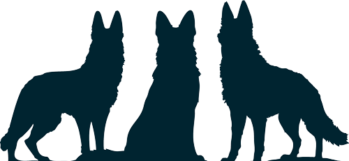 Honden Beeldmerk Pension