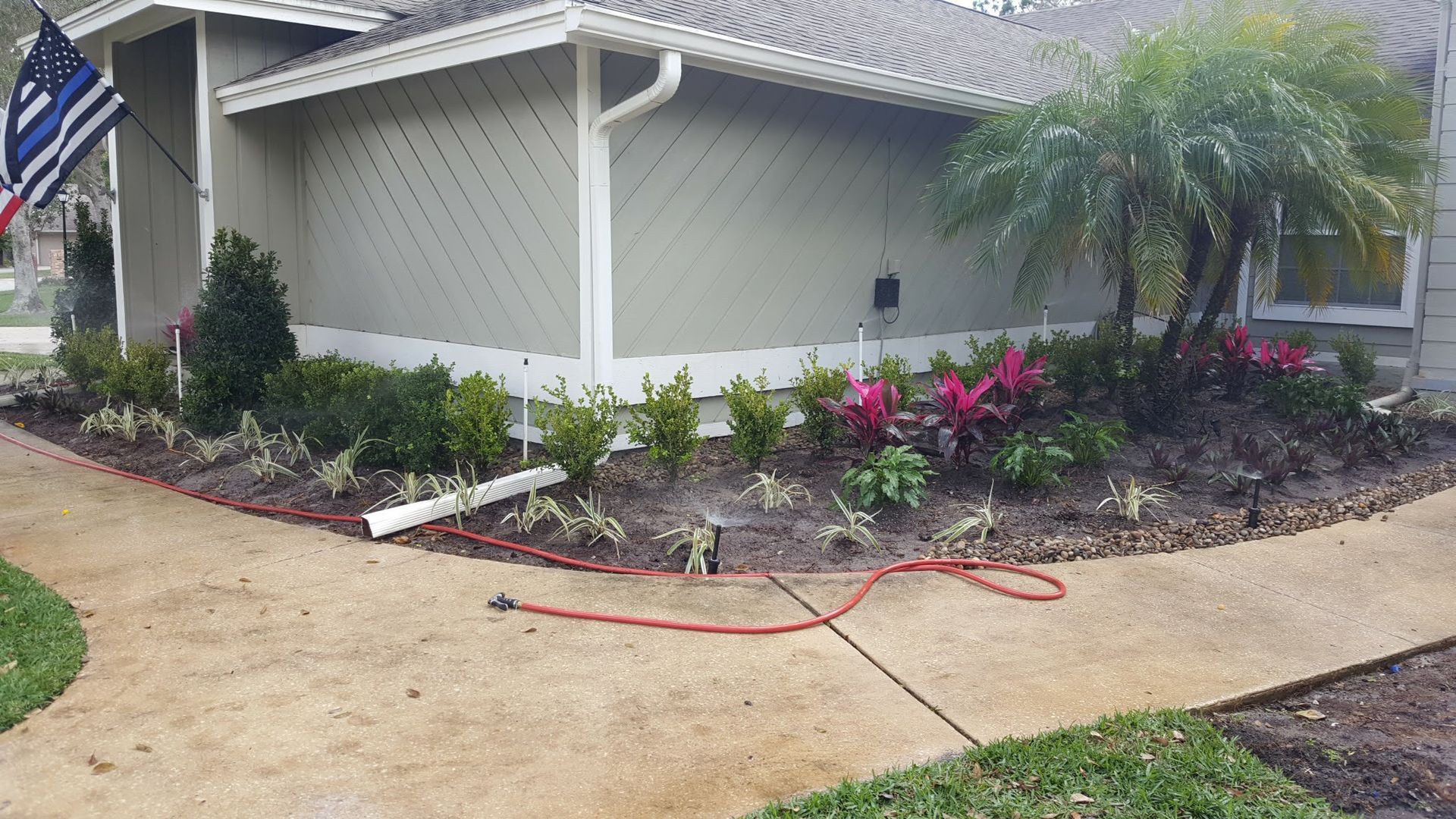 Landscaped house exterior with flowerbeds, palm tree, and red hose on a concrete path.
