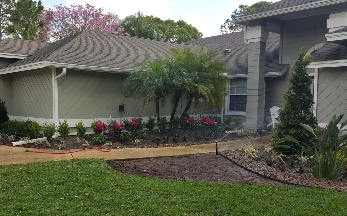 Lawn with a striped mowing pattern in front of a sign and bushes on a sunny day.