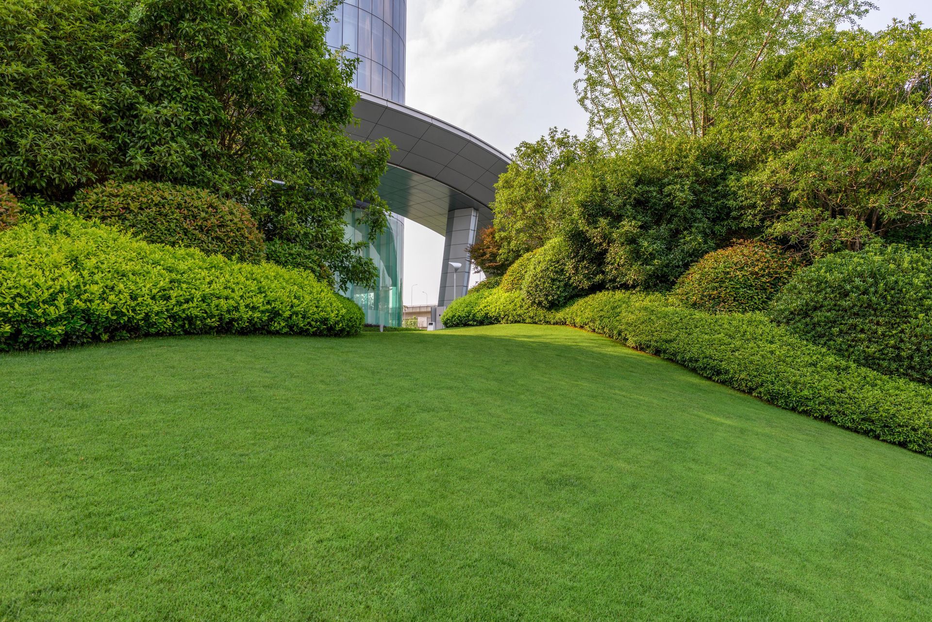 A tiered grey stone retaining wall borders a garden bed with small green plants under a hedge and a tree.