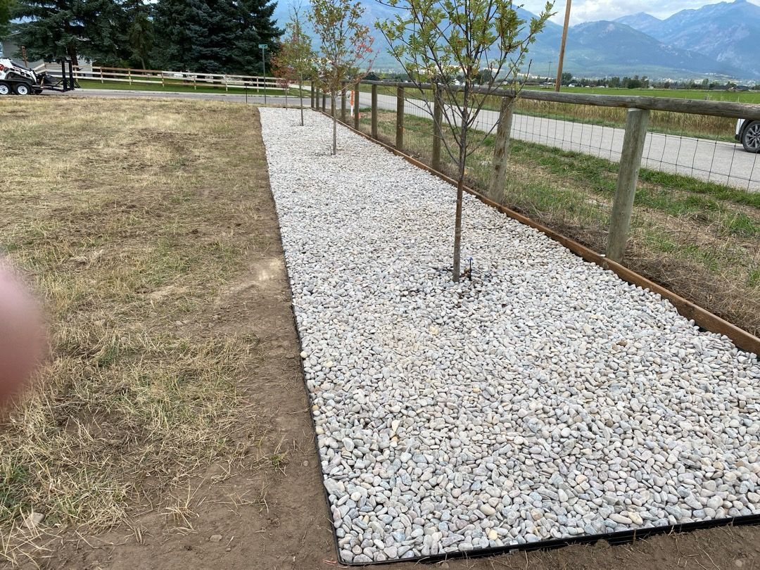 Gravel path with young trees, bordered by a wooden fence. The ground is dry grass.