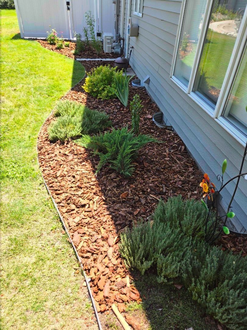 Garden bed with mulch and various green plants against a light gray building.