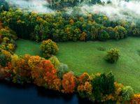Aerial view of a forest beside a river, with autumn-colored trees and morning mist.