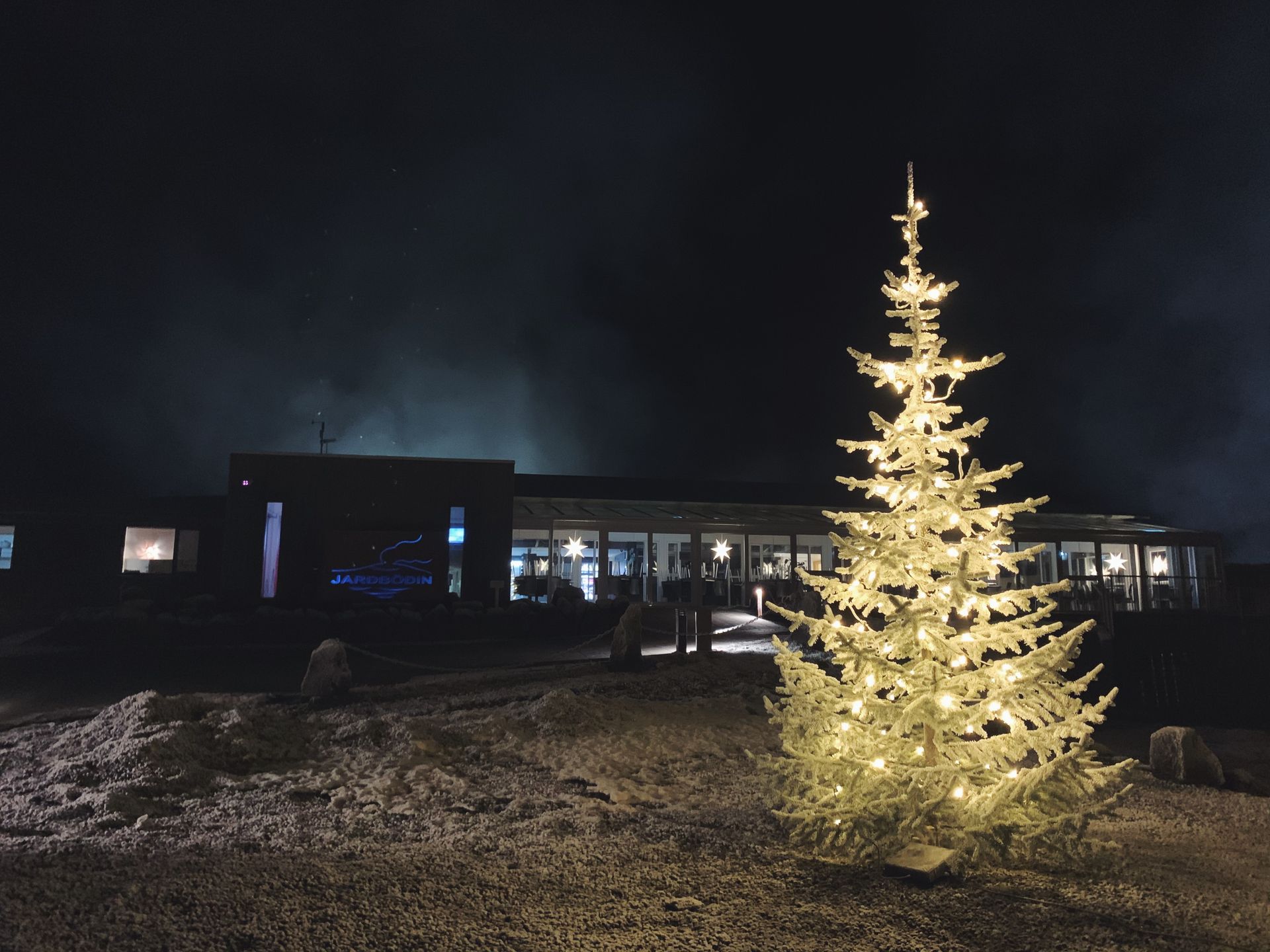 Lit Christmas tree stands outside a building at night, with a dark sky overhead.