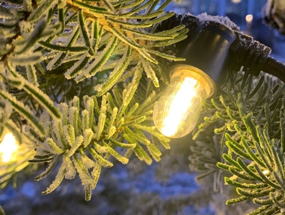 Close-up of a lit string light on a frosted evergreen branch, with a soft blue background.