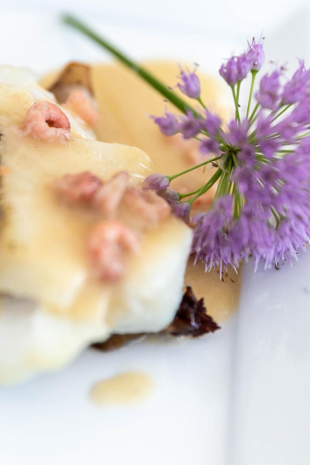 Close-up van een dessert met bloemmotief, slagroom en paarse bloesems op een wit bord.
