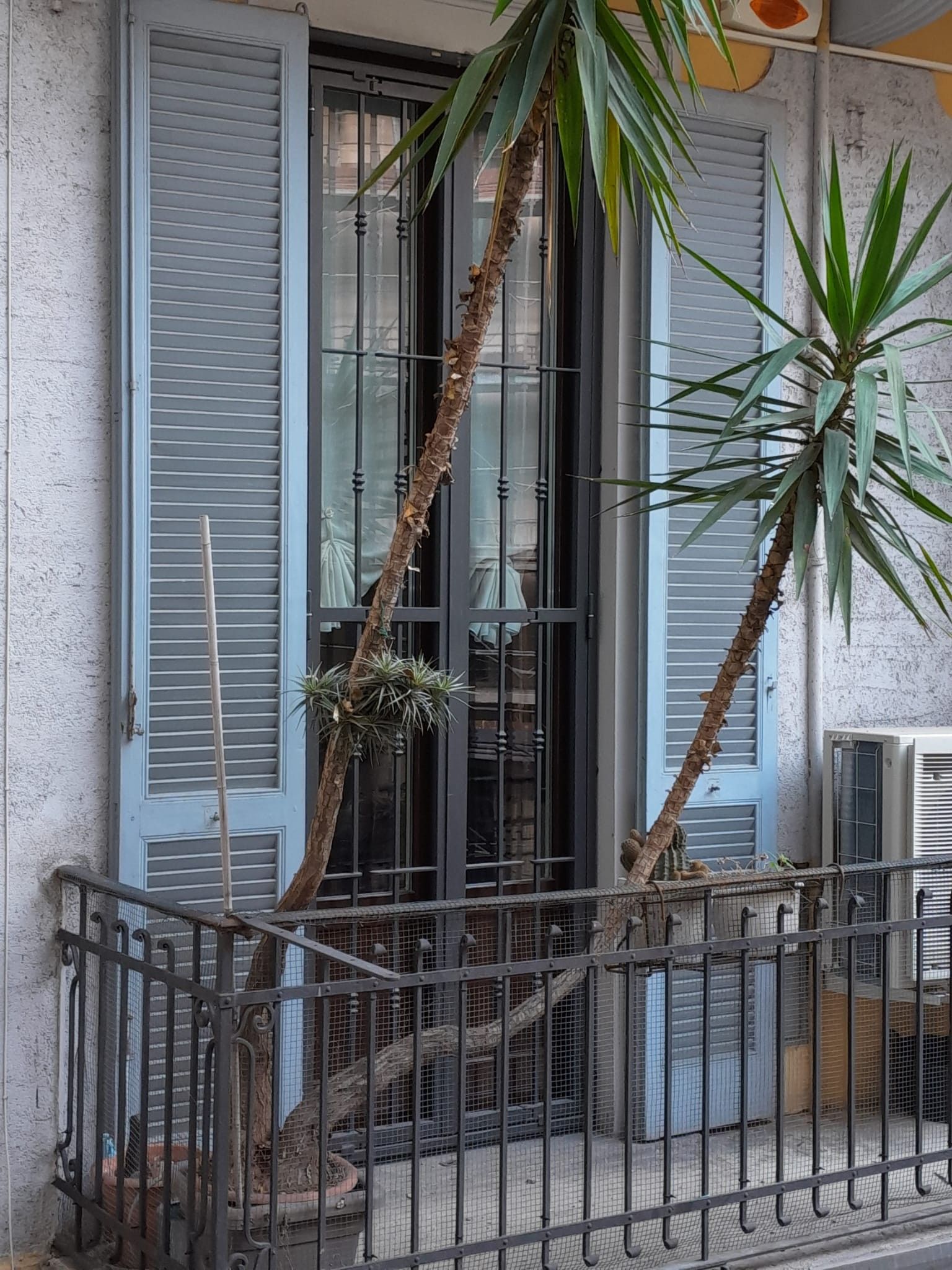 grata di sicurezza in ferro