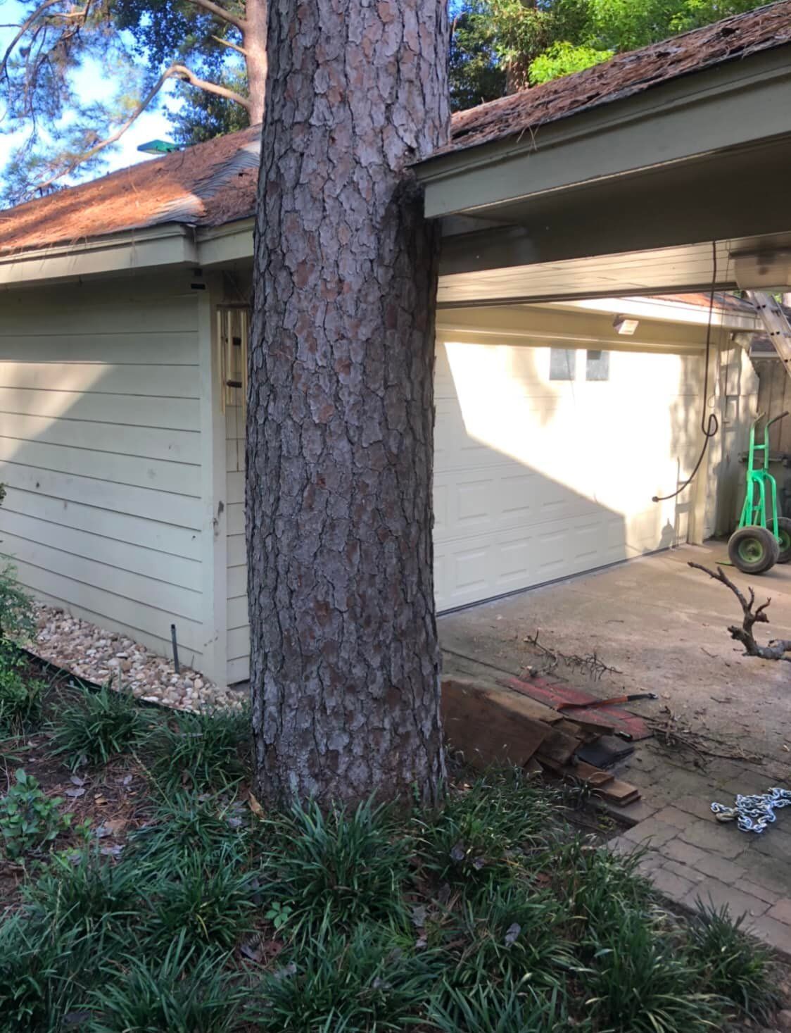 Backyard with large tree trunk, house eaves, and a covered patio area with a green hose reel.