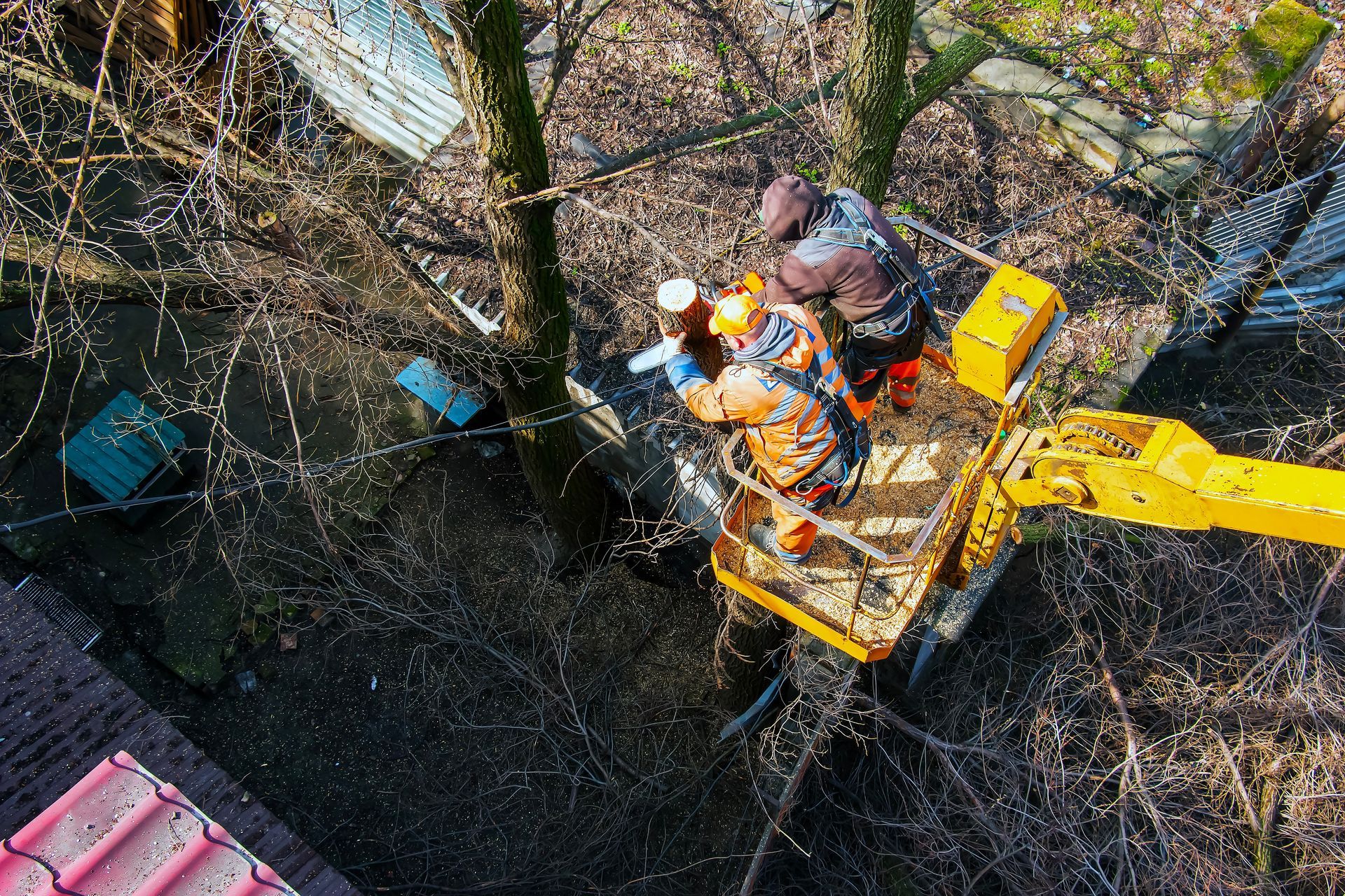 Two workers in a yellow cherry picker trimming branches in a wooded area