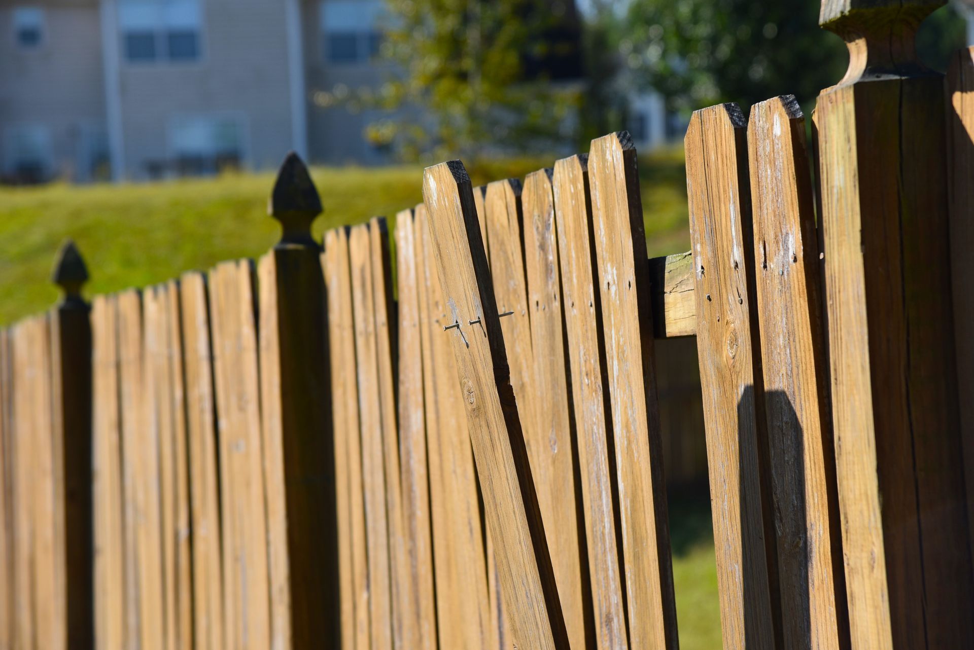 Broken wooden fence with several leaning pickets in a sunny yard