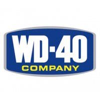 logo 80