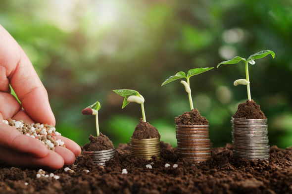 Planting seeds on growing piles of coins as a metaphor for business growth