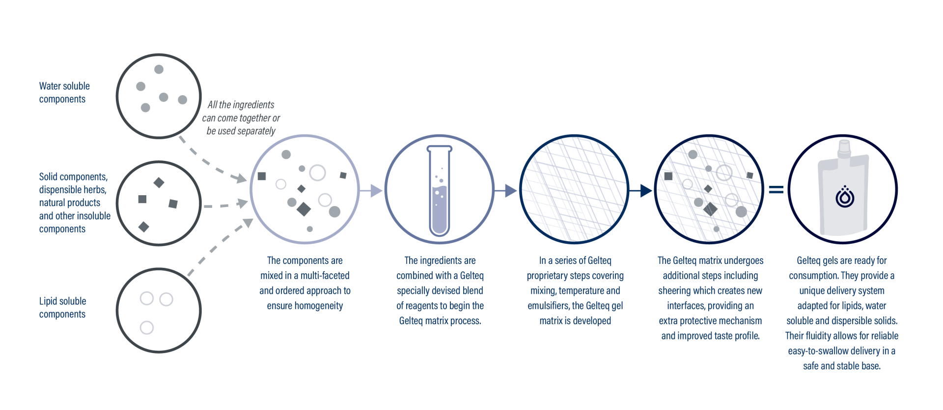 Gelteq Formulation Process